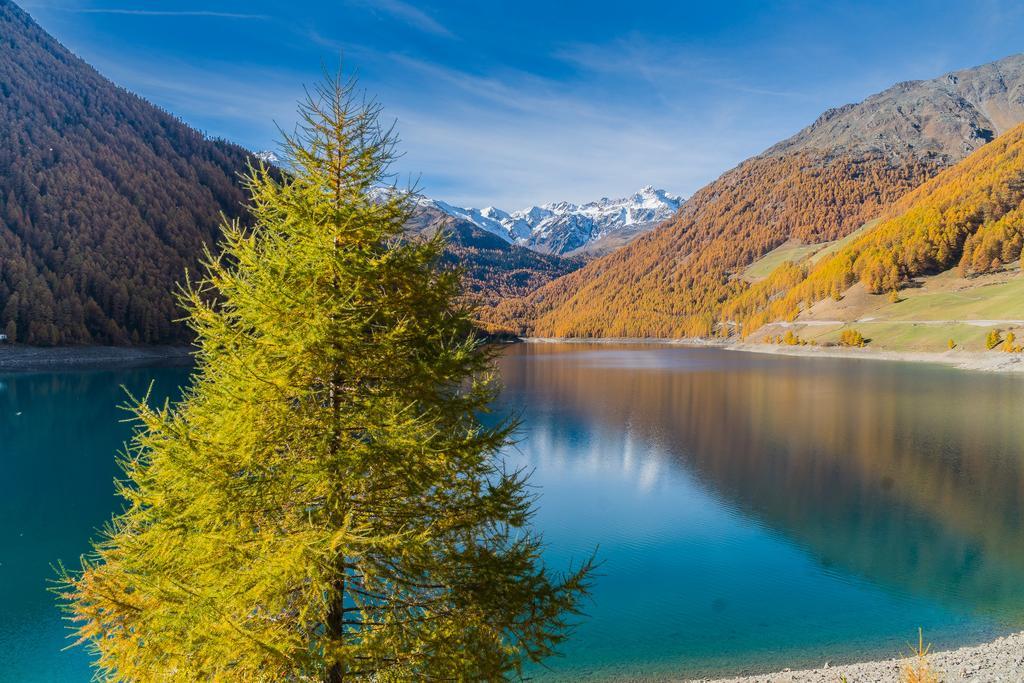 Berghotel Tyrol Senale Esterno foto